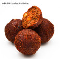 Przynęta Massive Baits Specjal Bolies 1kg / 30mm Przynęta Massive Baits Specjal Bolies 1kg / 30mm