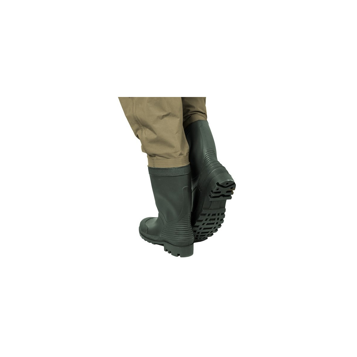 wodery-hron-delphin wodery-hron-delphin