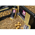 Session Pack Live System CC Moore Session Pack Live System CC Moore