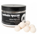 Kulki CC Moore NS1 Pop Ups 13/14mm - Northern Special White