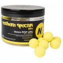 Kulki CC Moore NS1 Pop Ups 13/14mm - Northern Special Yellow