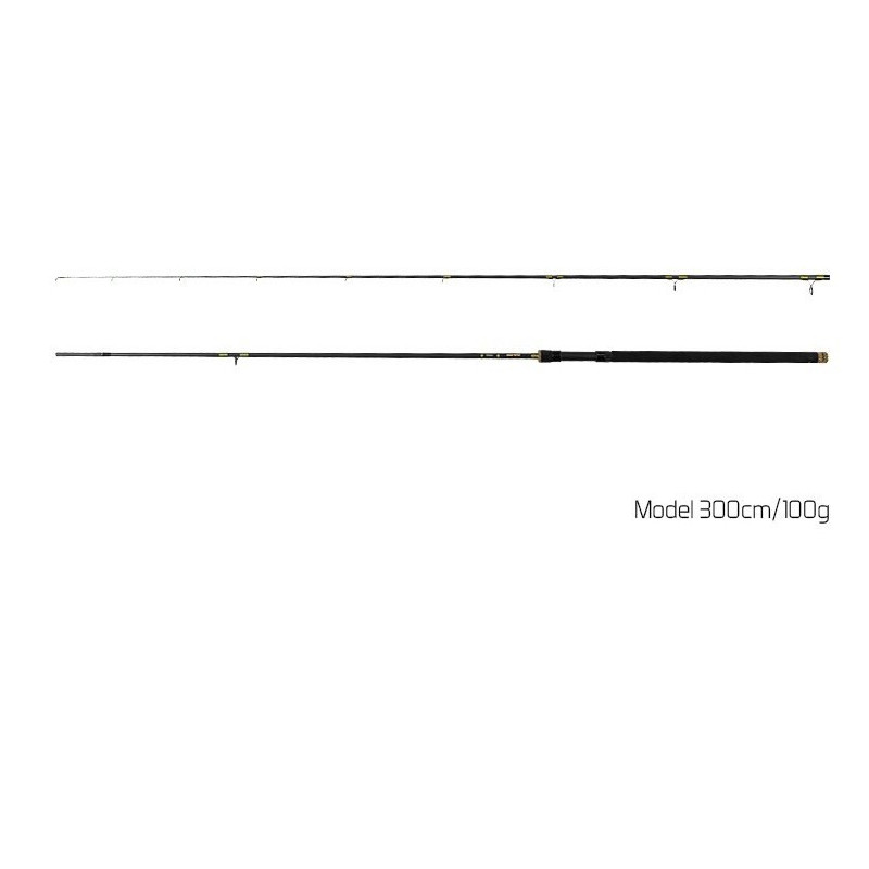 Wędka Delphin Murena 2 SKŁADY 240cm / 100g Wędka Delphin Murena 2 SKŁADY 240cm / 100g