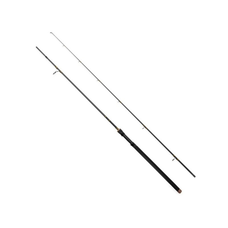 Wędka Delphin Murena 2 SKŁADY 300cm / 100g Wędka Delphin Murena 2 SKŁADY 300cm / 100g