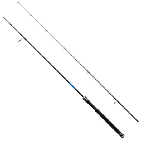 Wędka Delphin Gamer 275cm / 45g Wędka Delphin Gamer 275cm / 45g