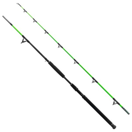 Wędka Delphin Walkyra 2 SKŁADY 300cm / 850g