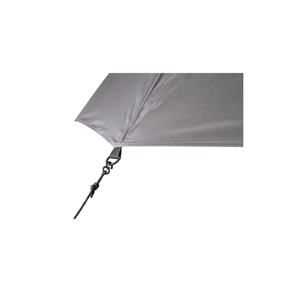 parasol-atoma-raceshad-delphin parasol-atoma-raceshad-delphin