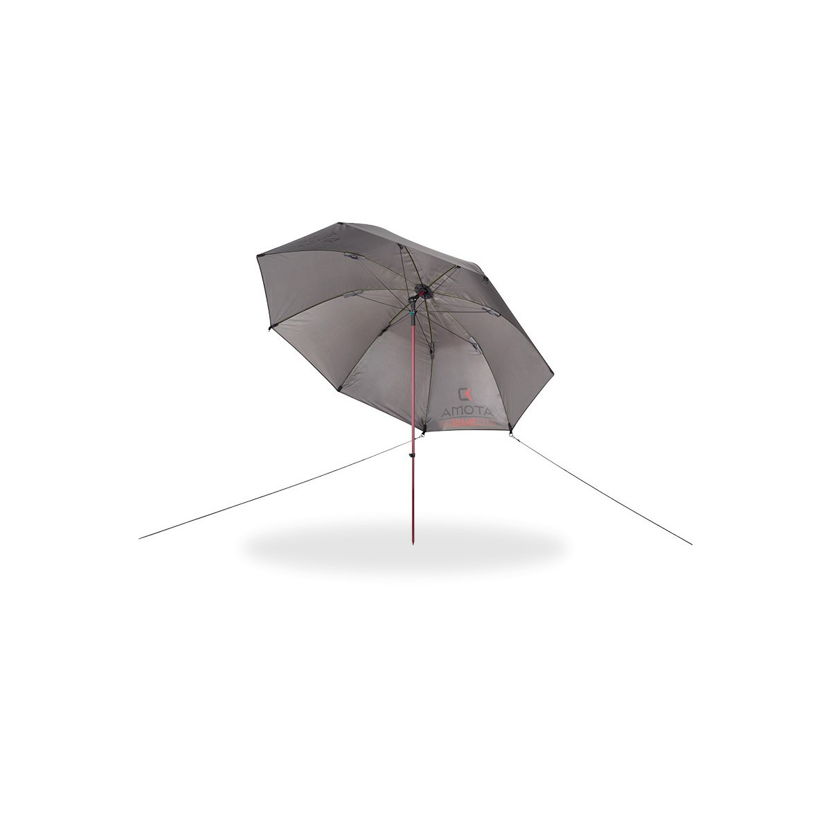 parasol-atoma-raceshad-delphin parasol-atoma-raceshad-delphin