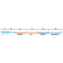Linka rzutowa Satori Surf 220m / 0.28-0.48mm Jaxon Linka rzutowa Satori Surf 220m / 0.28-0.48mm Jaxon