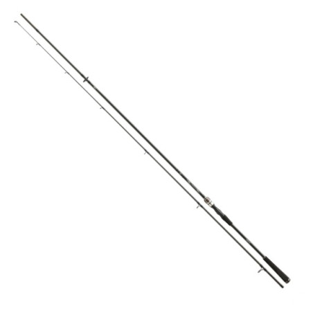 Wędka Daiwa Exceler Sea Trout 315cm / 15-40g