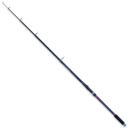 Wędka Robinson Carbonic T-Bream 300cm / 30-60g Wędka Robinson Carbonic T-Bream 300cm / 30-60g