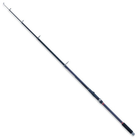 Wędka Robinson Carbonic T-Carp 330cm / 40-90g
