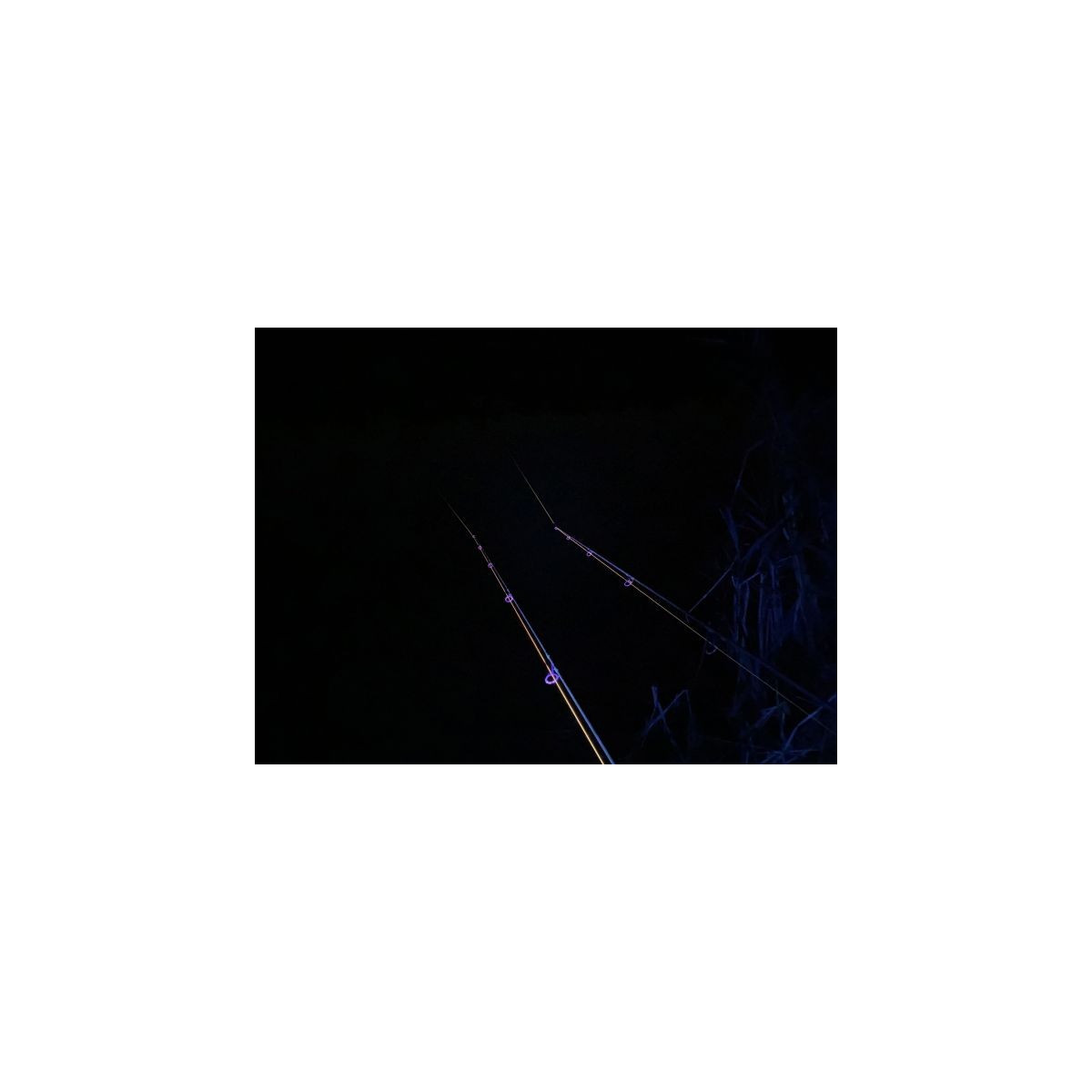 latarka-vipex-uv-blackflash-68-anaconda latarka-vipex-uv-blackflash-68-anaconda