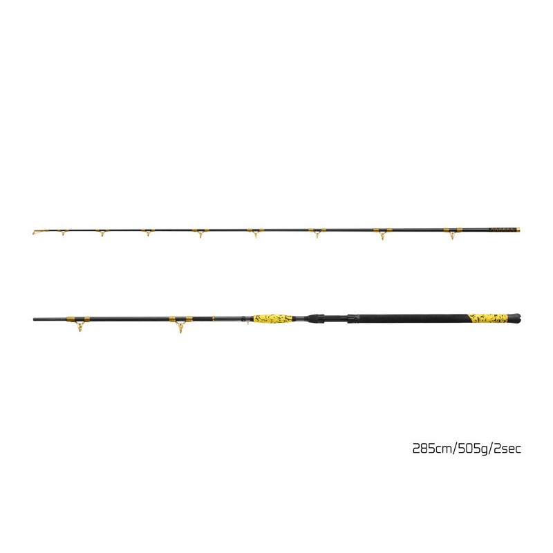 Wędka Delphin Hazzard BxG 285cm / 505g Wędka Delphin Hazzard BxG 285cm / 505g