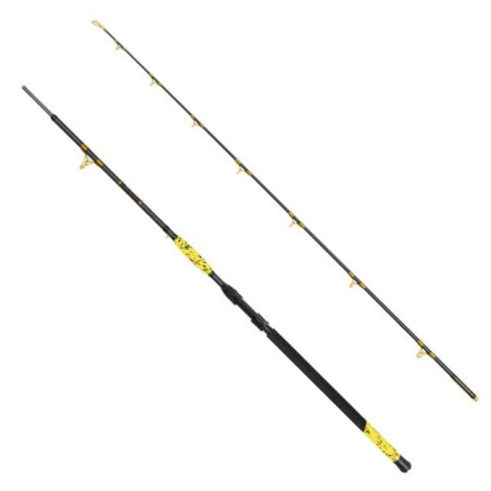 Wędka Delphin Hazzard BxG 285cm / 505g