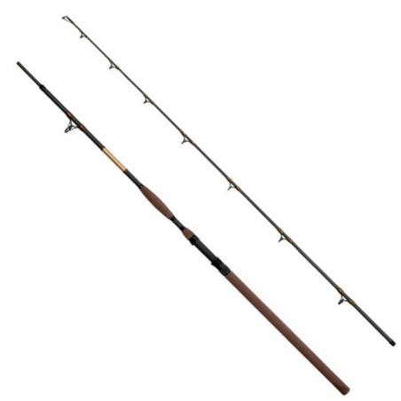 Wędka Delphin SymbolCAT Bronze 310cm / 500g