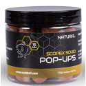 Kulki NASH Scopex Pop Ups 75g - 12mm Squid Natural Kulki NASH Scopex Pop Ups 75g - 12mm Squid Natural