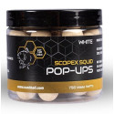 Kulki NASH Scopex Squid Pop Ups White 2024 75g / 12mm Kulki NASH Scopex Squid Pop Ups White 2024 75g / 12mm