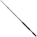 Wędka Mikado Bixlite Jerk Spin 195cm / 30-90g