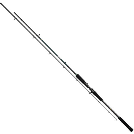 Wędka Mikado castingowa Jaws Big Bait Cast 255cm / 50-200g