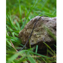 Plecionka FOX Edges Naturals Copper-Core Plecionka FOX Edges Naturals Copper-Core