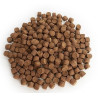 pellet-aller-master-aller-aqua