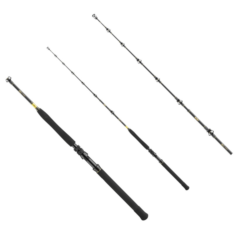 Wędka Daiwa BG Big Game 168cm / 30-50g