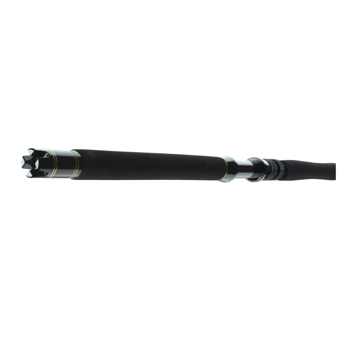 wedka-bg-big-game-daiwa