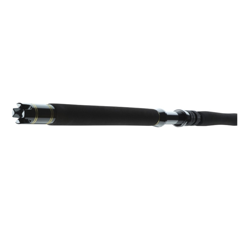 Wędka Daiwa BG Big Game 168cm / 30-50g