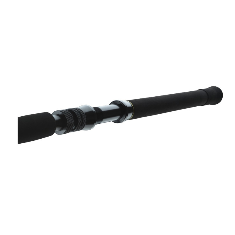 Wędka Daiwa BG Big Game 168cm / 30-50g