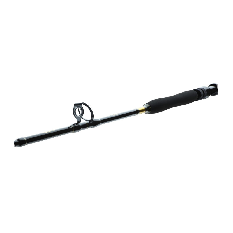 Wędka Daiwa BG Big Game 168cm / 20-30g