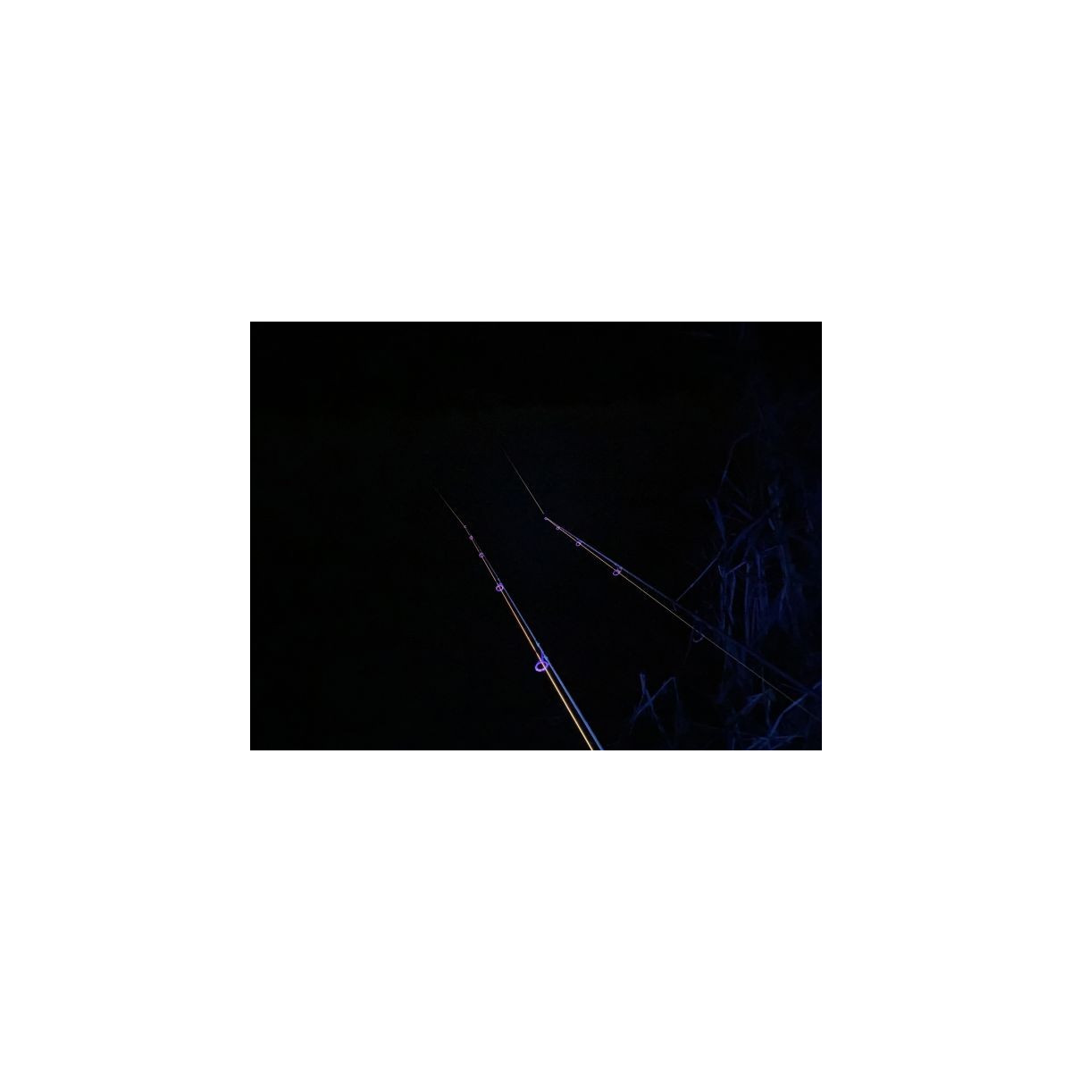 latarka-czolowa-vipex-uv-blacklight-anaconda latarka-czolowa-vipex-uv-blacklight-anaconda