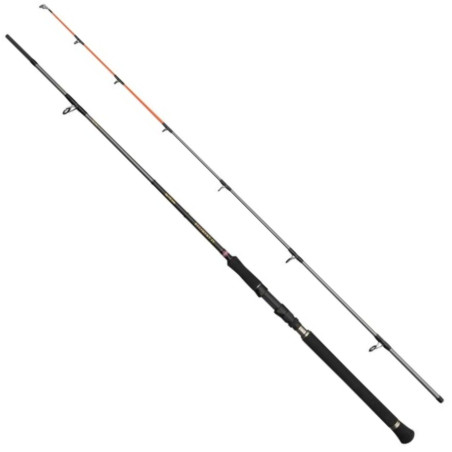 Wędka Penn Regiment IV Spin/Pilk 240cm / 100-250g