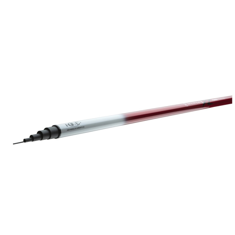 Bat Ninja X Pole 400cm Daiwa