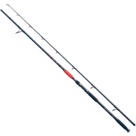 Wędka Jaxon CATFISH E Heavy 285cm / 500g