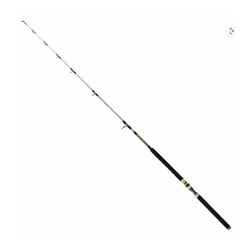 Wędka Robinson Siluro Spin 210cm / 50-250g Wędka Robinson Siluro Spin 210cm / 50-250g