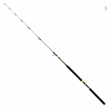 Wędka Robinson Siluro Spin 210cm / 50-250g Wędka Robinson Siluro Spin 210cm / 50-250g