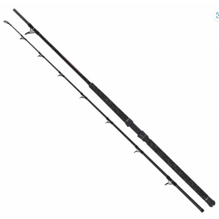 Wędka Robinson Siluro Spin 240cm / 100-400g