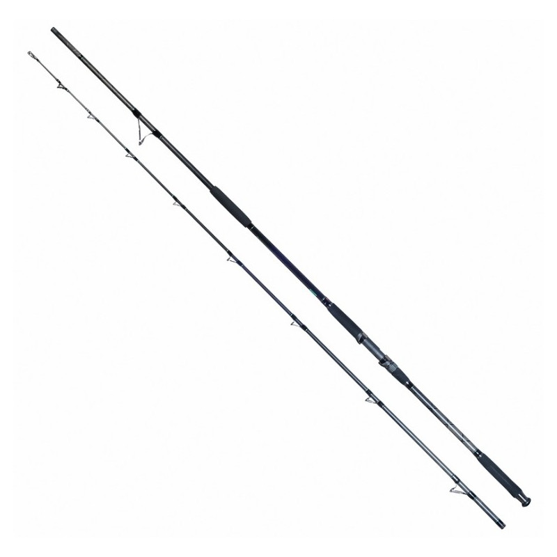 Wędka Robinson Siluro Spin Catfish Cast 330cm / 100-350g Wędka Robinson Siluro Spin Catfish Cast 330cm / 100-350g