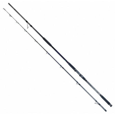 Wędka Robinson Siluro Spin Catfish Cast 330cm / 100-350g