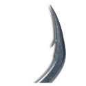 Haczyk NASH Claw X Micro Barbed hak 6 Haczyk NASH Claw X Micro Barbed hak 6