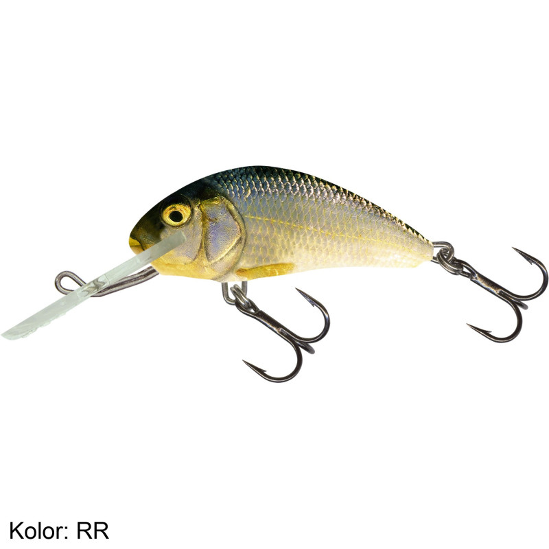 Wobler Salmo Hornet H9F 9cm RR Wobler Salmo Hornet H9F 9cm RR