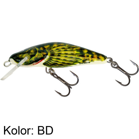 Wobler Salmo Bullhead BD6S 6cm Wobler Salmo Bullhead BD6S 6cm