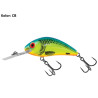 wobler-rattlin-hornet-salmo