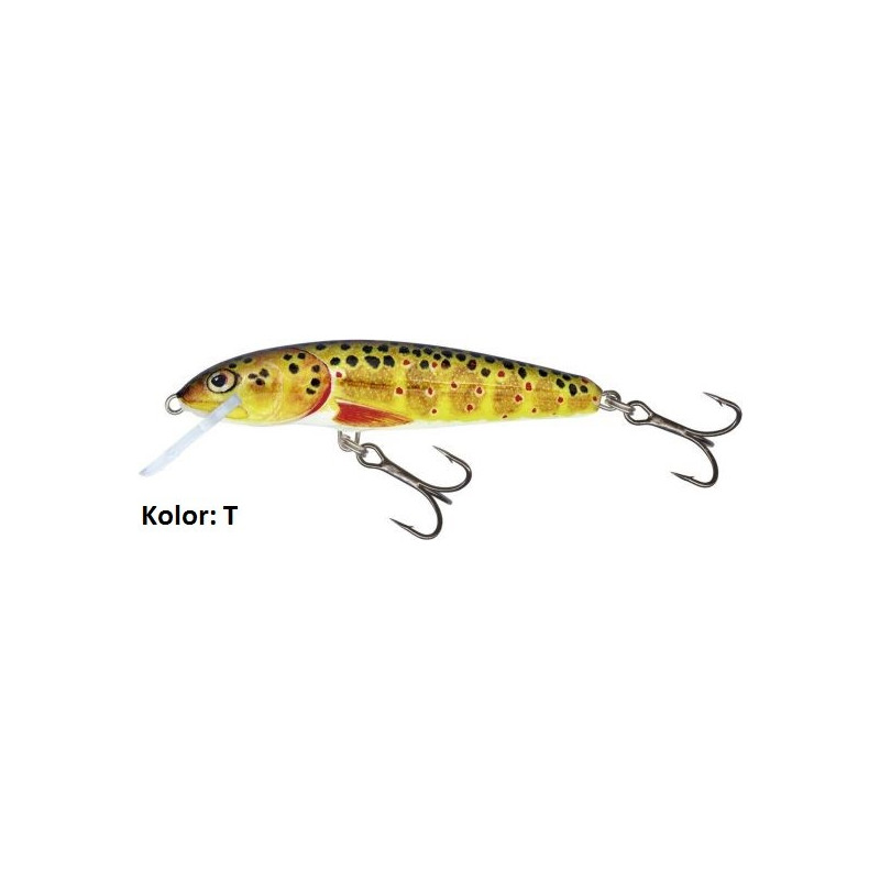 Wobler Salmo Minnow M5F 5cm T Wobler Salmo Minnow M5F 5cm T