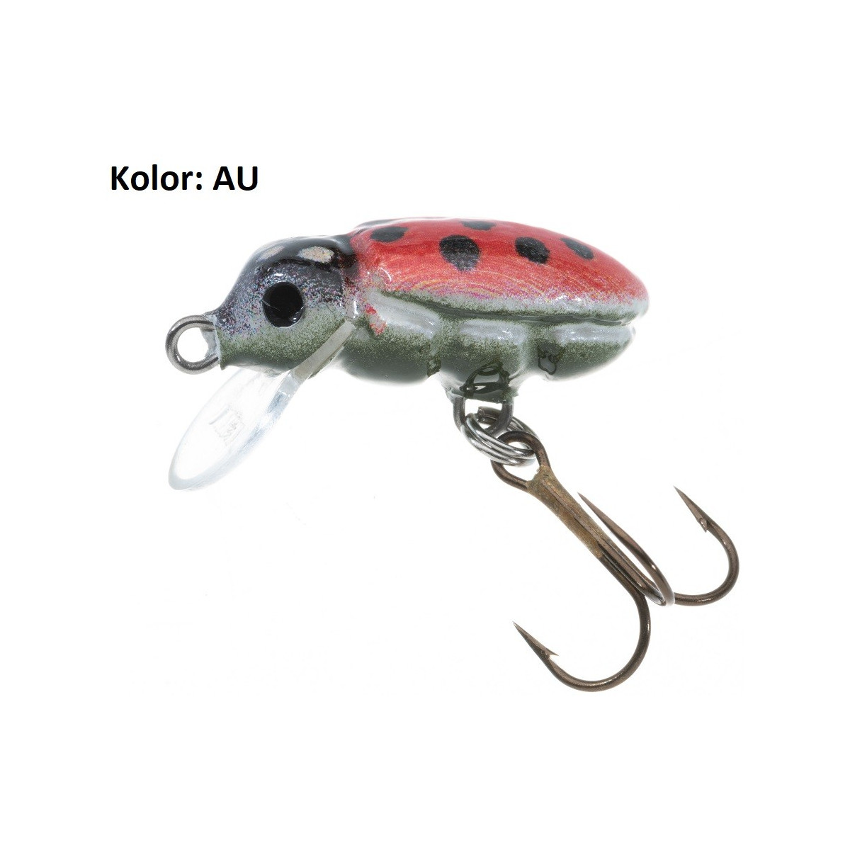 wobler-hs-beetle-jaxon wobler-hs-beetle-jaxon