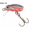 wobler-hs-beetle-jaxon