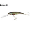 wobler-holo-select-diver-jaxon