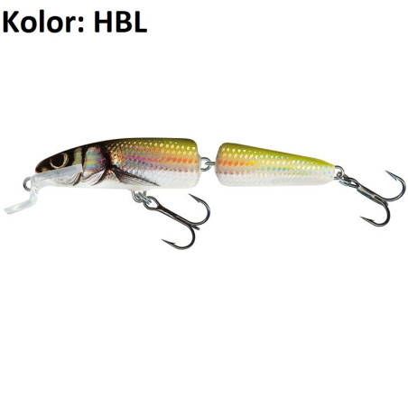 Wobler Salmo Fanatic IF7F 7cm HBL Wobler Salmo Fanatic IF7F 7cm HBL