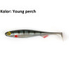 przyneta-rage-slick-shad-foxrage