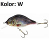 wobler-holo-select-carpan-jaxon